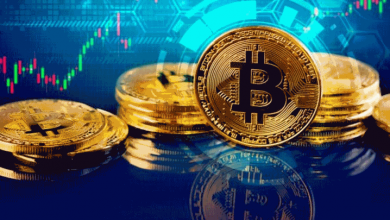 بیت کوین - پادشاه ارزهای دیجیتال - دیجینوست