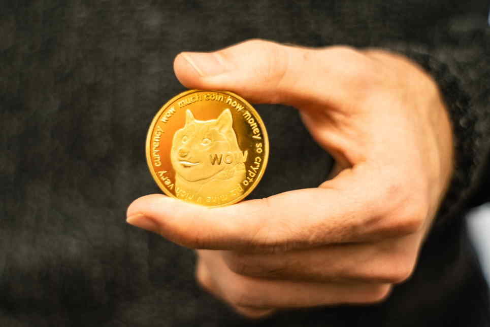 دوج کوین - Shiba Inu -دیجی اینوست