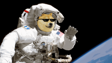 شرکت SpaceX - دوج کوین - دیجینوست