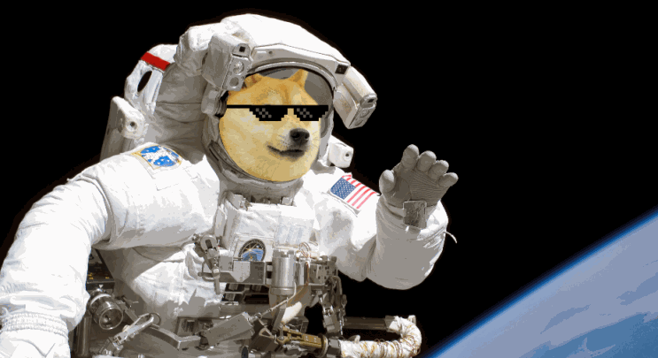 شرکت SpaceX - دوج کوین - دیجینوست