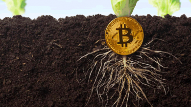 Taproot-حریم‌خصوصی- ارز دیجیتال - دیجینوست