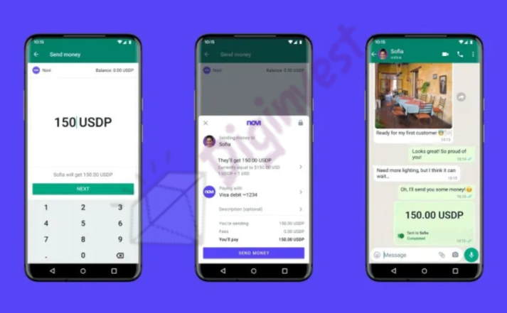 Novi ارز دیجیتال دیجینوست