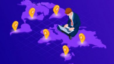 ارز دیجیتال دیجینوست Blockchain friendly Countries