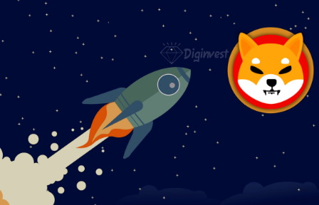شیبرس Shiberse متاورس دیجینوست
