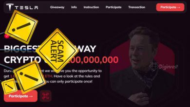 سایت اسکم و کلاهبرداری ارز دیجیتال